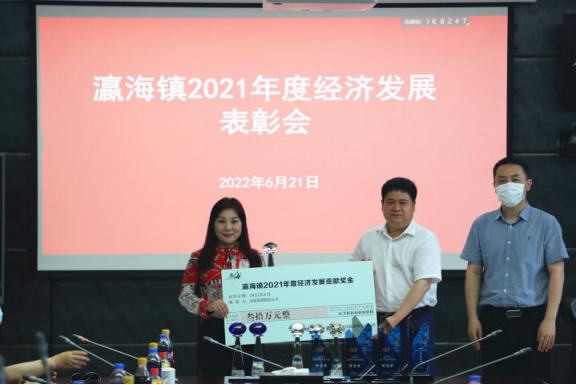 助力經(jīng)濟(jì)發(fā)展，美巢集團(tuán)股份公司獲瀛海鎮(zhèn)經(jīng)濟(jì)發(fā)展三項大獎