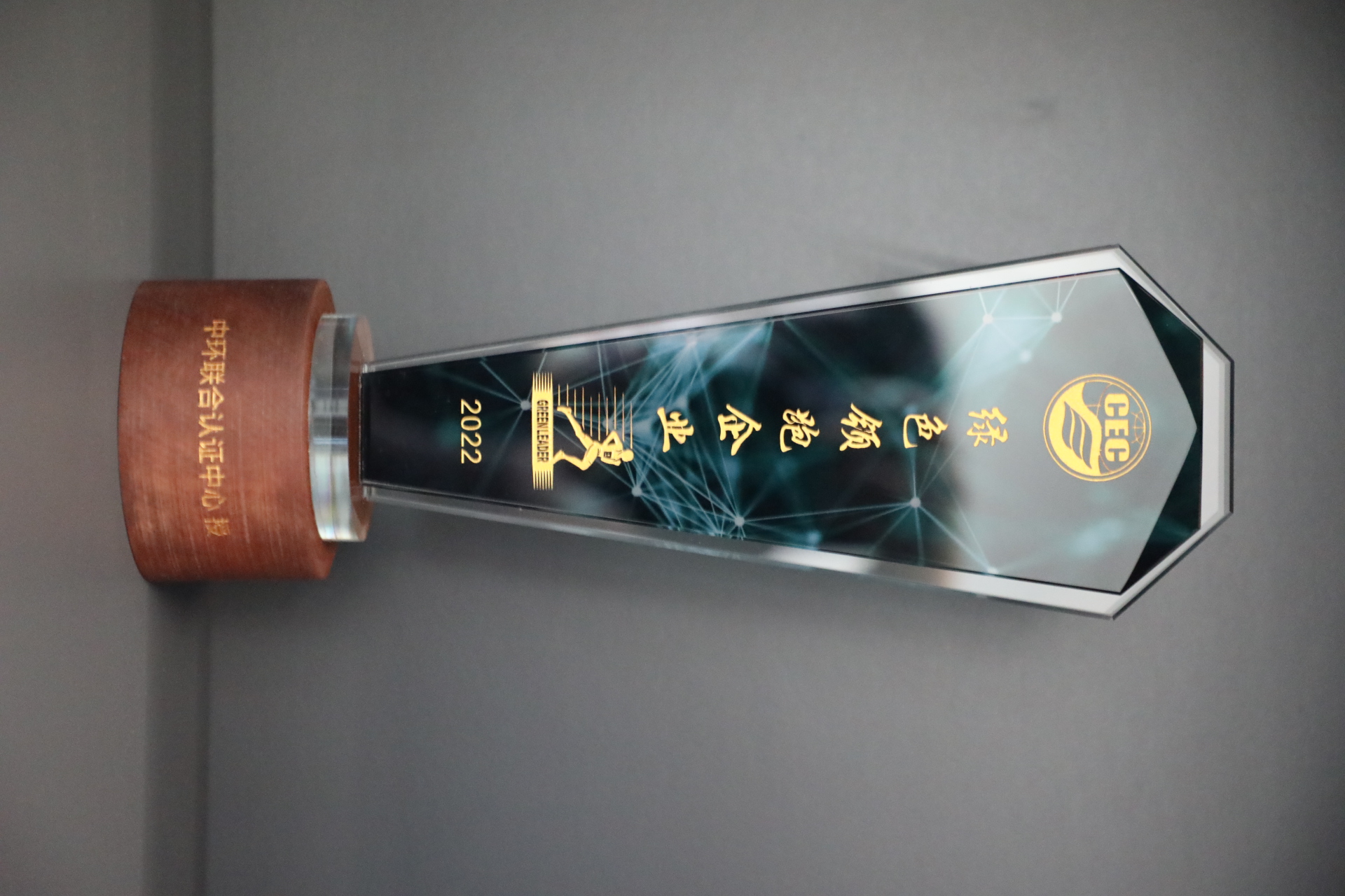 美巢深耕家裝環(huán)保輔料賽道，榮獲“綠色領跑企業(yè)”稱號